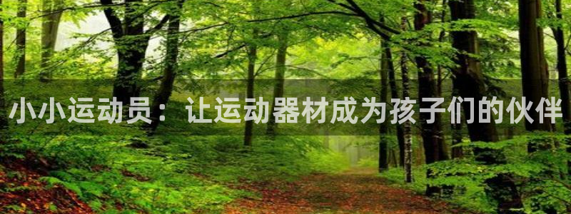 征途国际集团简介：小小运动员：让运动器材成为孩子们的伙伴