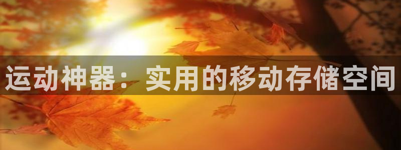 征途国际开户：运动神器：实用的移动存储空间