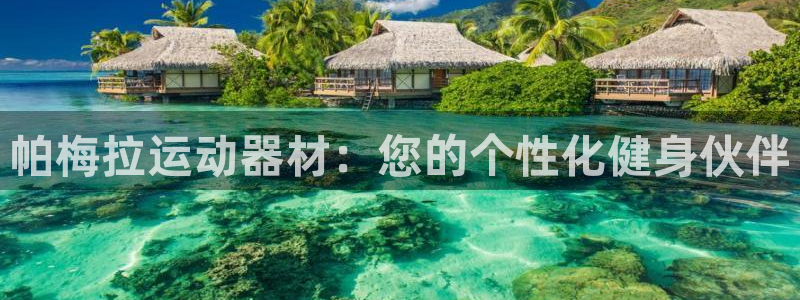 征途国际集团：帕梅拉运动器材：您的个性化健身伙伴