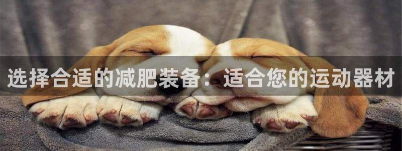 征途国际招商电话是多少啊：选择合适的减肥装备：适合您