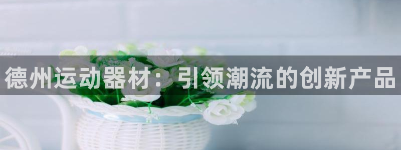 征途国际招商：德州运动器材：引领潮流的创新产品