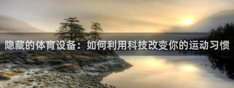征途国际是干嘛的公司：隐藏的体育设备：如何利用科技改