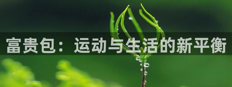 注册征途国际：富贵包：运动与生活的新平衡