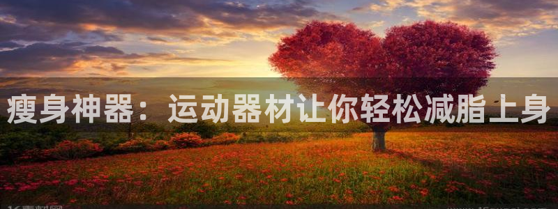 征途国际招商电话号码查询：瘦身神器：运动器材让你轻松