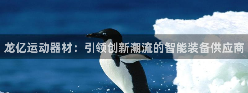 征途国际娱乐首页网站大全：龙亿运动器材：引领创新潮流