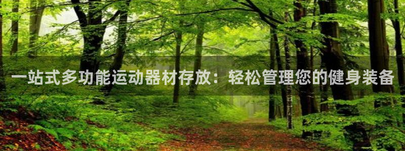 征途国际代理：一站式多功能运动器材存放：轻松管理您的