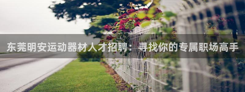 征途国际招商电话号码是多少号：东莞明安运动器材人才招