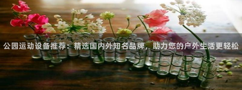 征途国际平台注册流程视频：公园运动设备推荐：精选国内