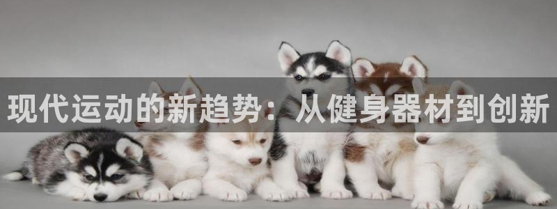 征途国际开户：现代运动的新趋势：从健身器材到创新