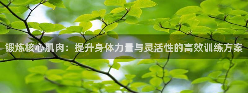 征途国际新能源：锻炼核心肌肉：提升身体力量与灵活性的