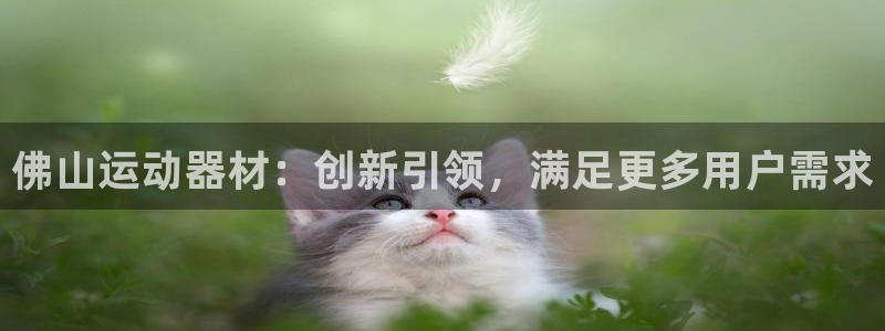 征途国际娱乐下载：佛山运动器材：创新引领，满足更多用