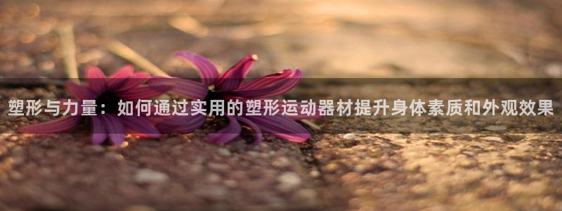 征途国际是干嘛的公司：塑形与力量：如何通过实用的塑形运动器材
