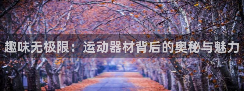 征途国际平台体育：趣味无极限：运动器材背后的奥秘与魅