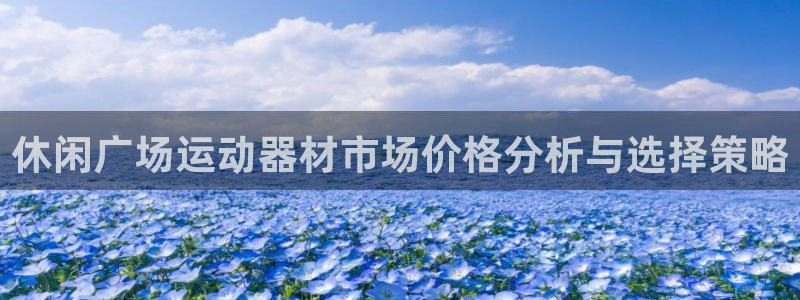 征途国际娱乐下载：休闲广场运动器材市场价格分析与选择策略